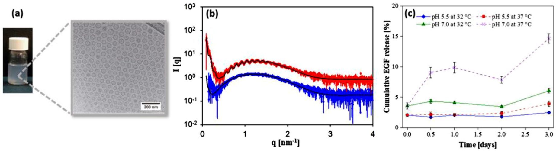 Recombinant Human Epidermal Growth Factor/Quatsome Nanoconjugates: A Robust Topical Delivery System for Complex Wound Healing