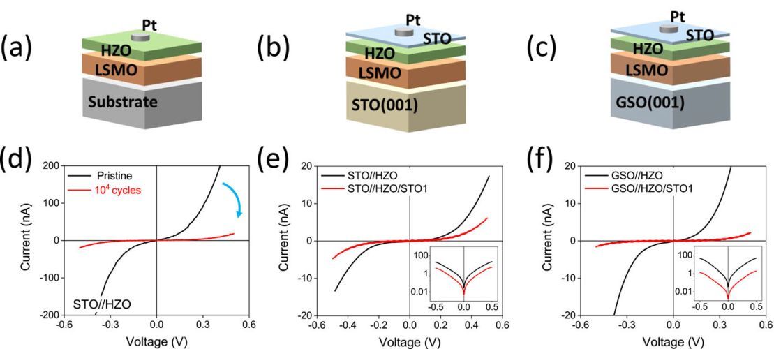 Enhanced electroresistance endurance of capped Hf0.5Zr0.5O2 ultrathin epitaxial tunnel barriers