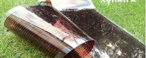 Semitransparent organic photovoltaic module at ICMAB´s garden | ICMAB, CSIC