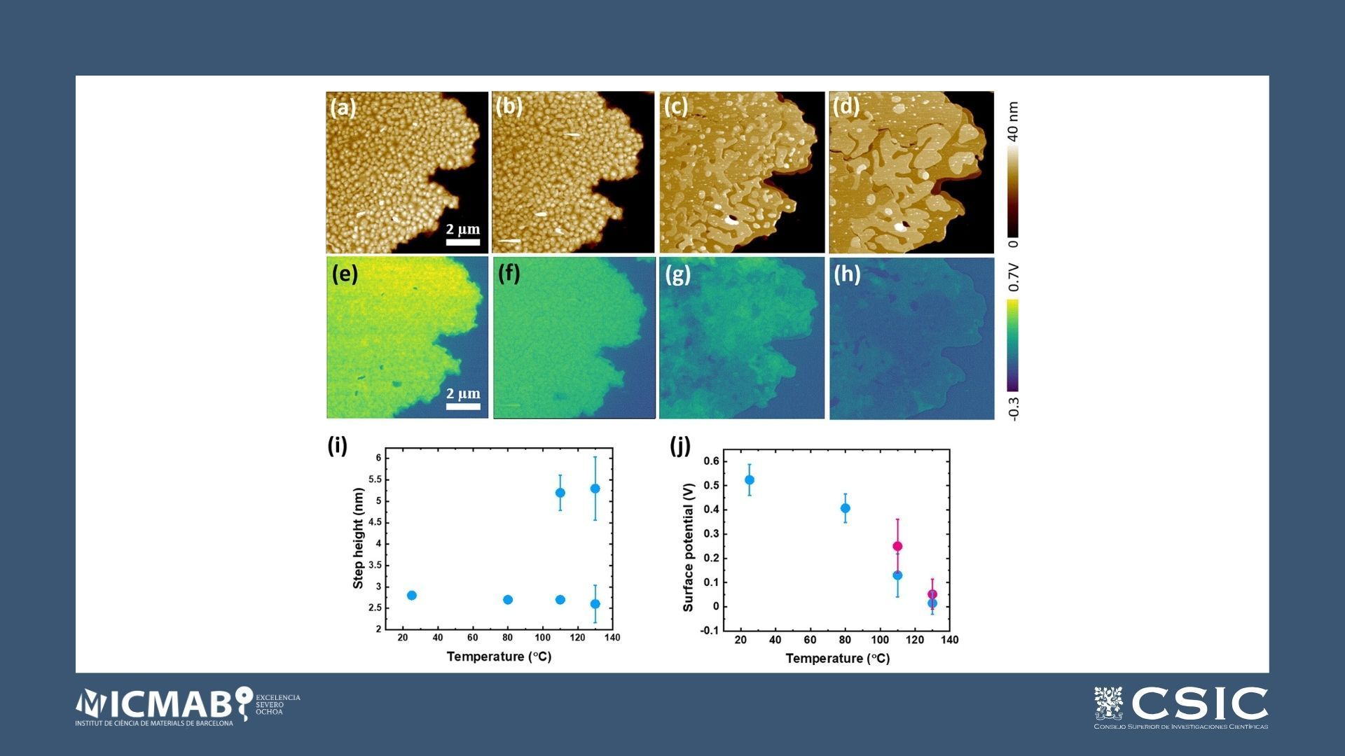 Thickness Dependent Structural Transition in Ph-BTBT-10 Thin Films and Stabilization of the Ubiquitous Interface Bilayer