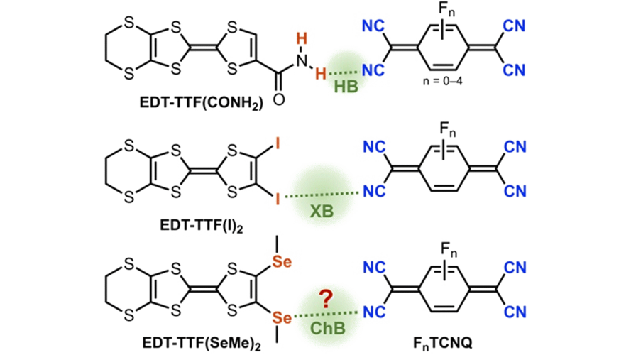 Chalcogen bonding and variable charge transfer degree in two polymorphs of 1:1 conducting salts with segregated stacks