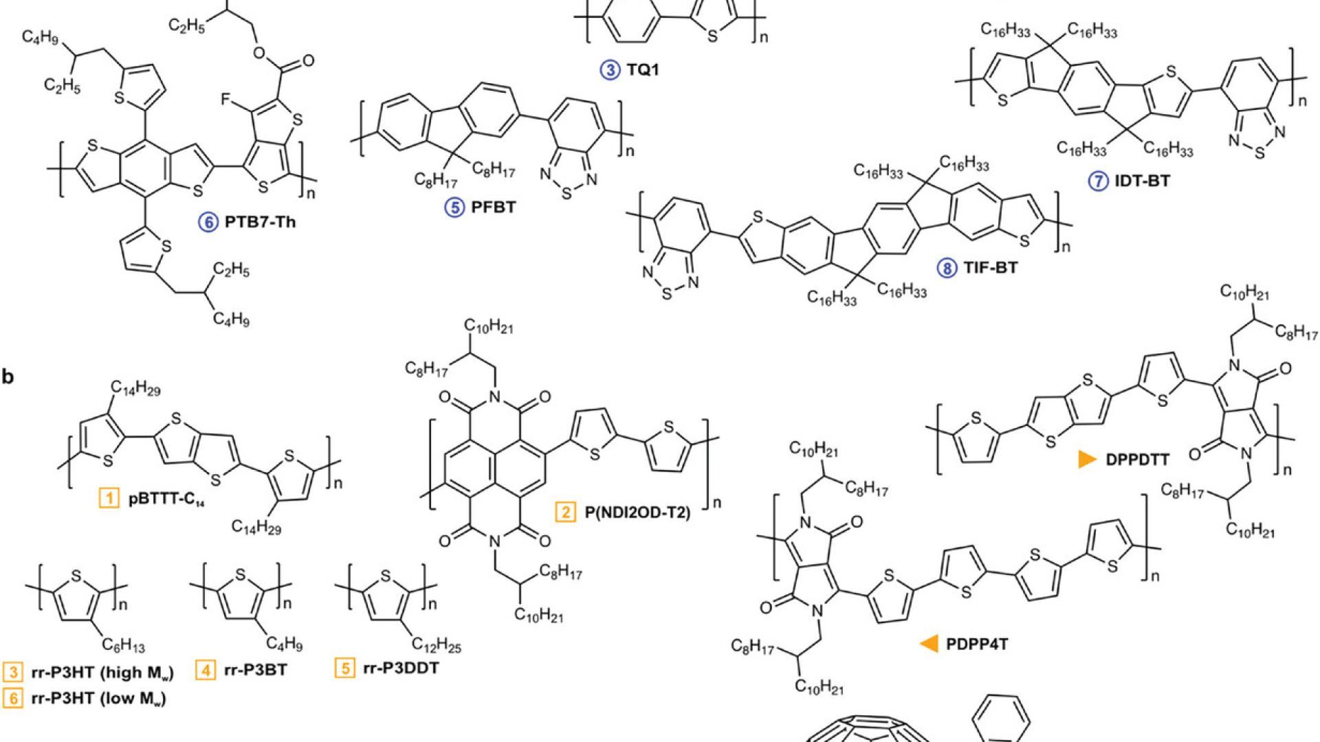 On The Thermal Conductivity of Conjugated Polymers for Thermoelectrics