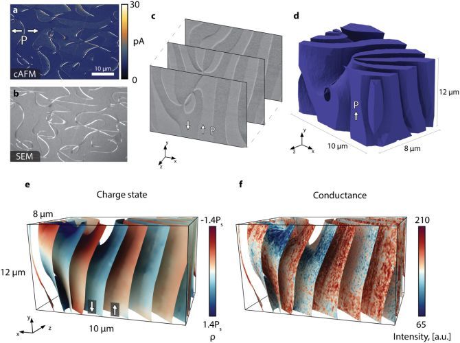 The Third Dimension of Ferroelectric Domain Walls