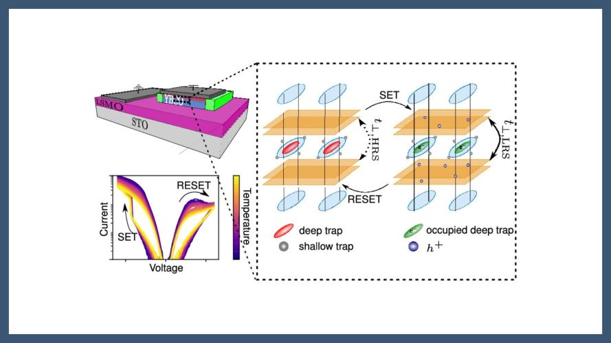 Trap-Controlled Conduction and Metal–Insulator Transition in Superconducting Cuprate Memristors