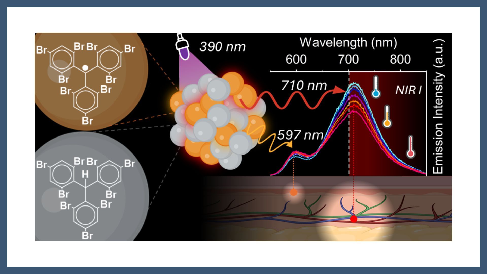 Brominated trityl radical nanoparticles: metal-free ratiometric nanothermometer with near-infrared excimeric emission in water