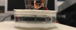 Experimental setup. A thin layer of cobalt nitride (CoN) in a liquid with ionic conductivity. The voltage is applied to the liquid via two platinum plates. (Credits: Zheng Ma)