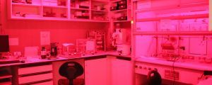 Laboratory at ICMAB | ICMAB
