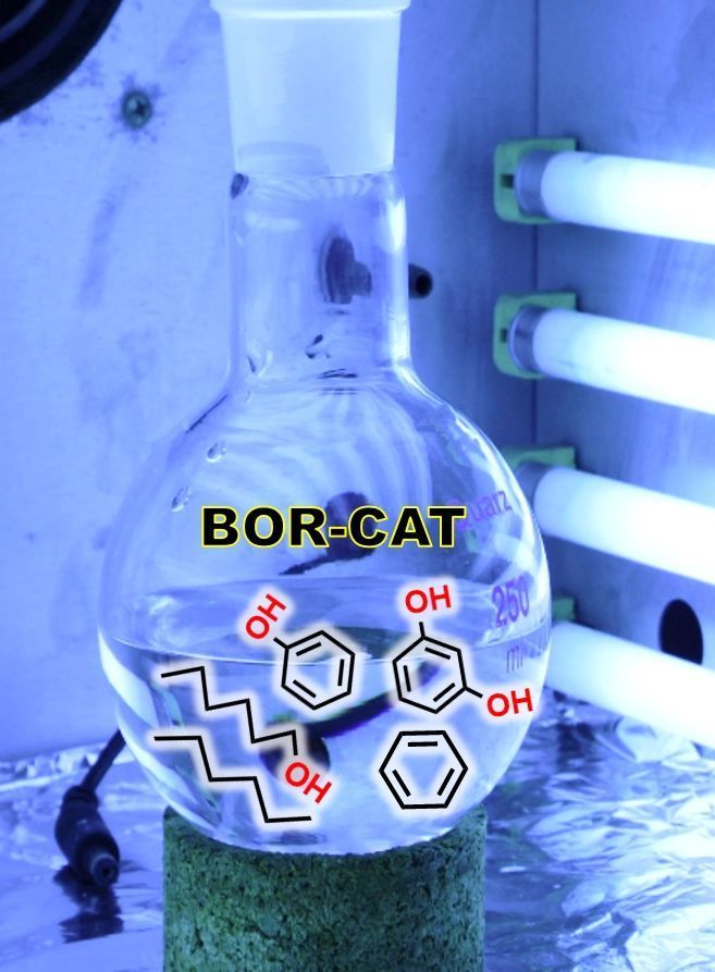 Photocatalytic oxidation of benzene to produce phenol