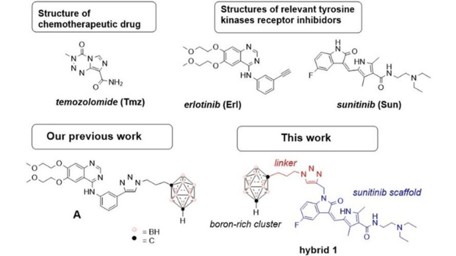 Bimodal Therapeutic Agents Against Glioblastoma, One of the Most Lethal Forms of Cancer