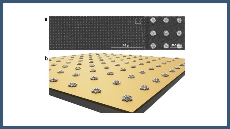 Hybridization of Gap Plasmons and Grating-Coupled Surface Plasmon Polaritons in Metal Nanoparticle Cluster Arrays on a Mirror