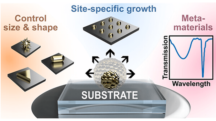 Direct Bottom-Up In Situ Growth: A Paradigm Shift for Studies in Wet-Chemical Synthesis of Gold Nanoparticles