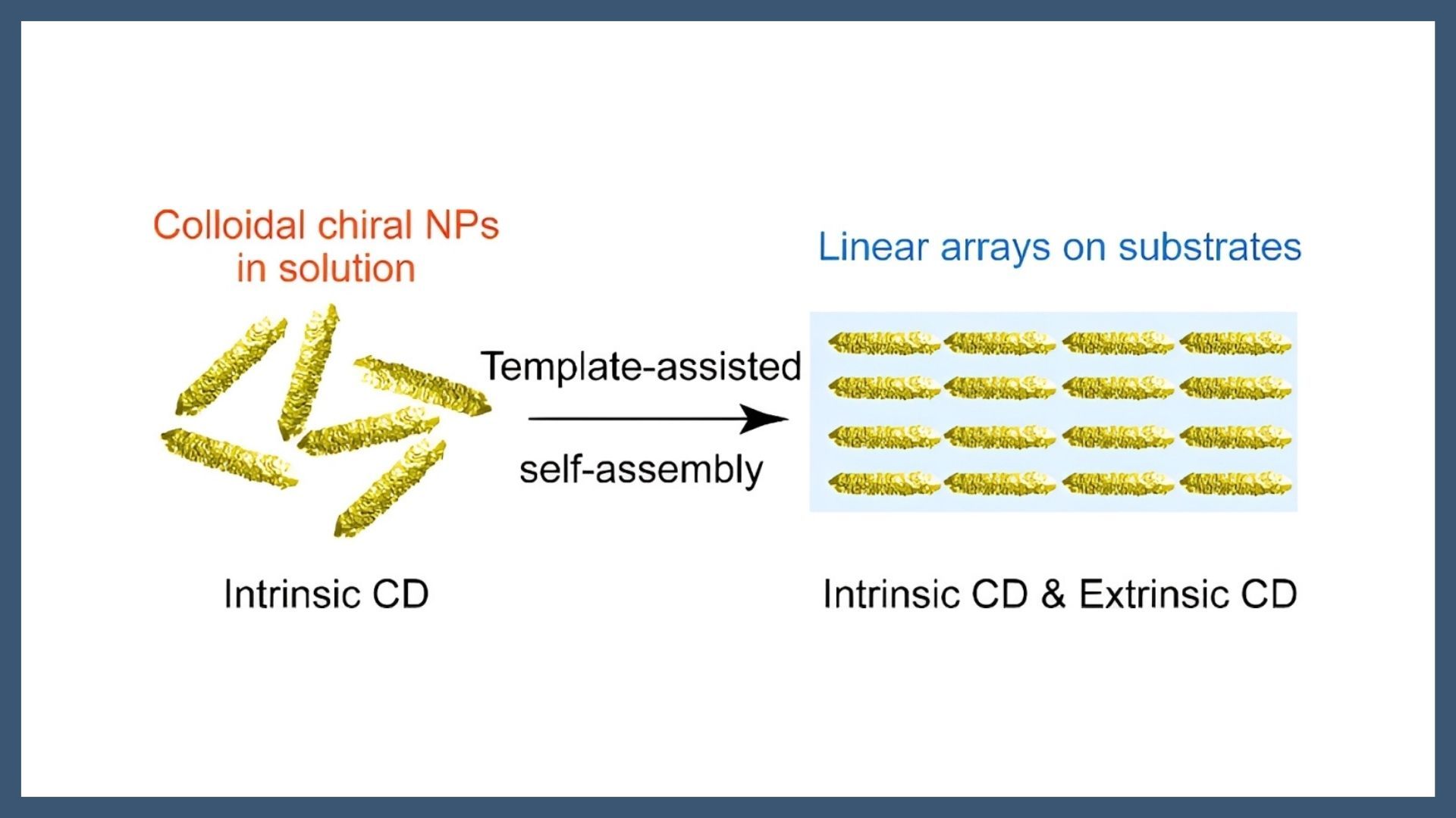 Intrinsic and Extrinsic Circular Dichroism in Linear Arrays of Anisotropic Chiral Nanoparticles