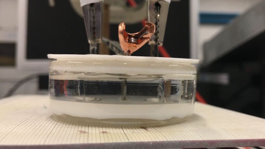 Experimental setup. A thin layer of cobalt nitride (CoN) in a liquid with ionic conductivity. The voltage is applied to the liquid via two platinum plates. (Credits: Zheng Ma)
