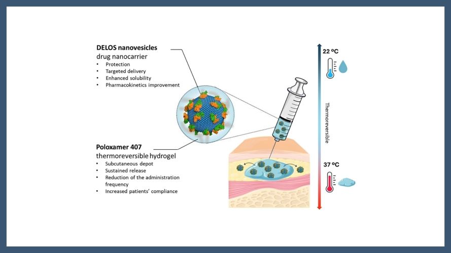 Extended release of DELOS nanovesicles from thermoreversible in situ-forming subcutaneous depots