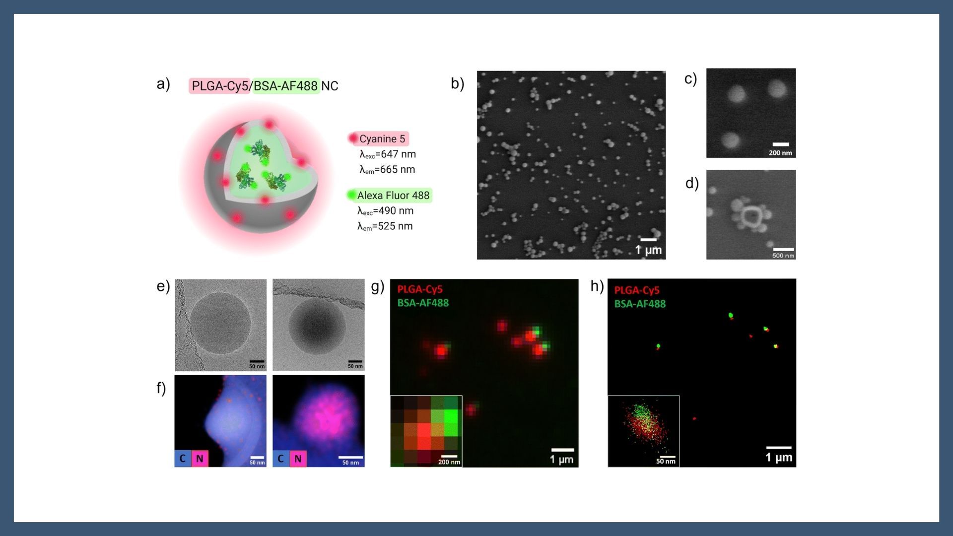 STORM as a tool to track cargo release from polymeric nanocarriers at the single-particle level