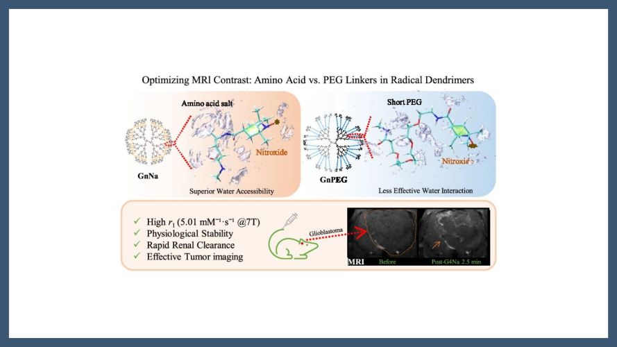 Designing Water-Soluble Macromolecules for Biomedical Use: PEG Chains versus Amino Acids─A Case Study in MRI Contrast Agents