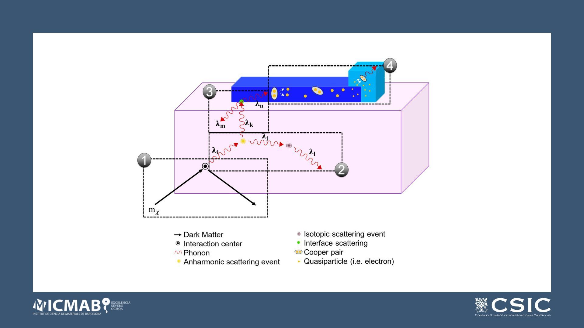 Phonon dynamics for light dark matter detection