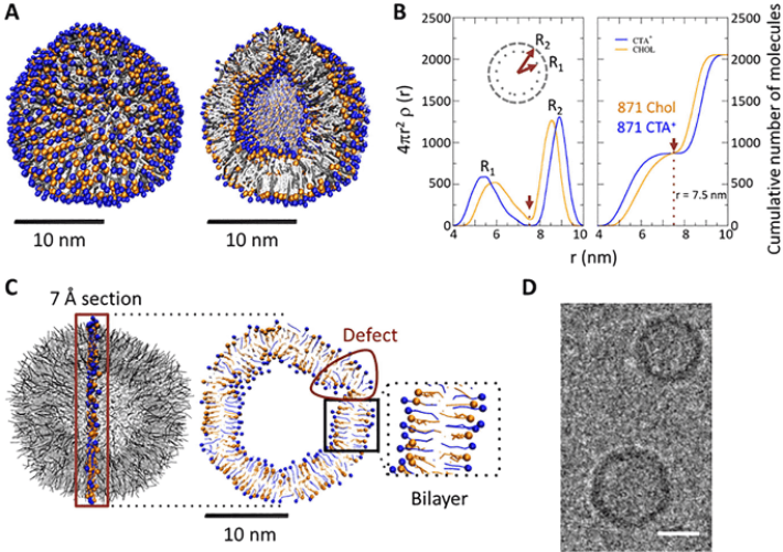 Stable nanovesicles formed by intrinsically planar bilayers