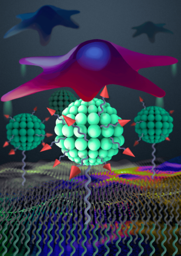 Hierarchical Quatsome-RGD Nanoarchitectonic Surfaces for Enhanced Integrin-Mediated Cell Adhesion