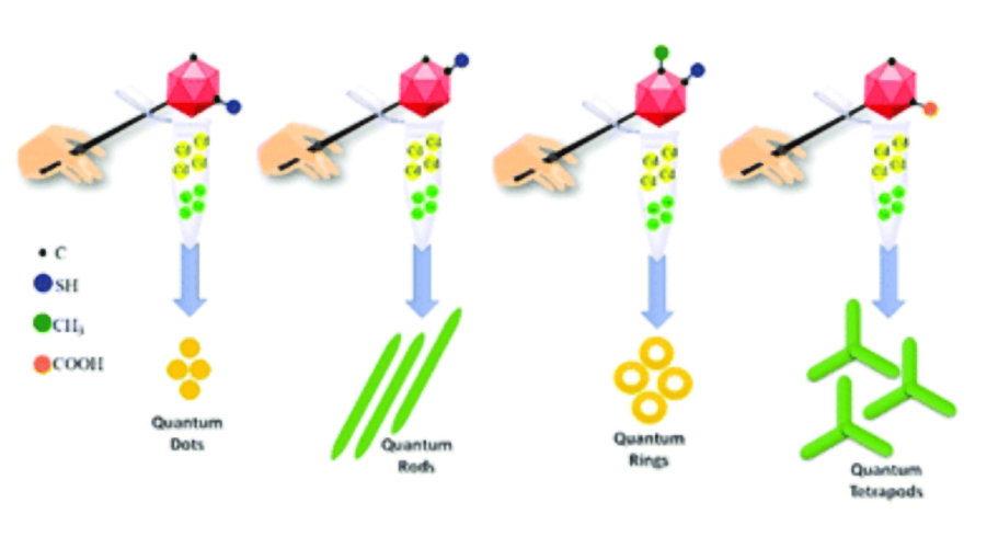The key to controlling the morphologies of quantum nanocrystals: spherical carborane ligands