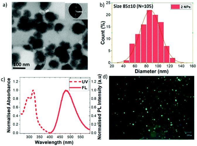 o-Carborane-based fluorophores as efficient luminescent systems both as solids and as water-dispersible nanoparticles