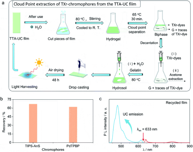 Recyclable optical bioplastics platform for solid state red light harvesting via triplet–triplet annihilation photon upconversion