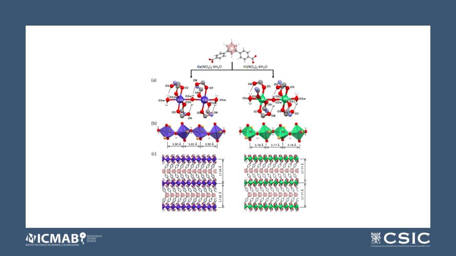 Metal–organic frameworks built from a carborane linker isolating ideal one-dimensional large-spin chains of Co (S = 3/2) or Ni (S = 1)