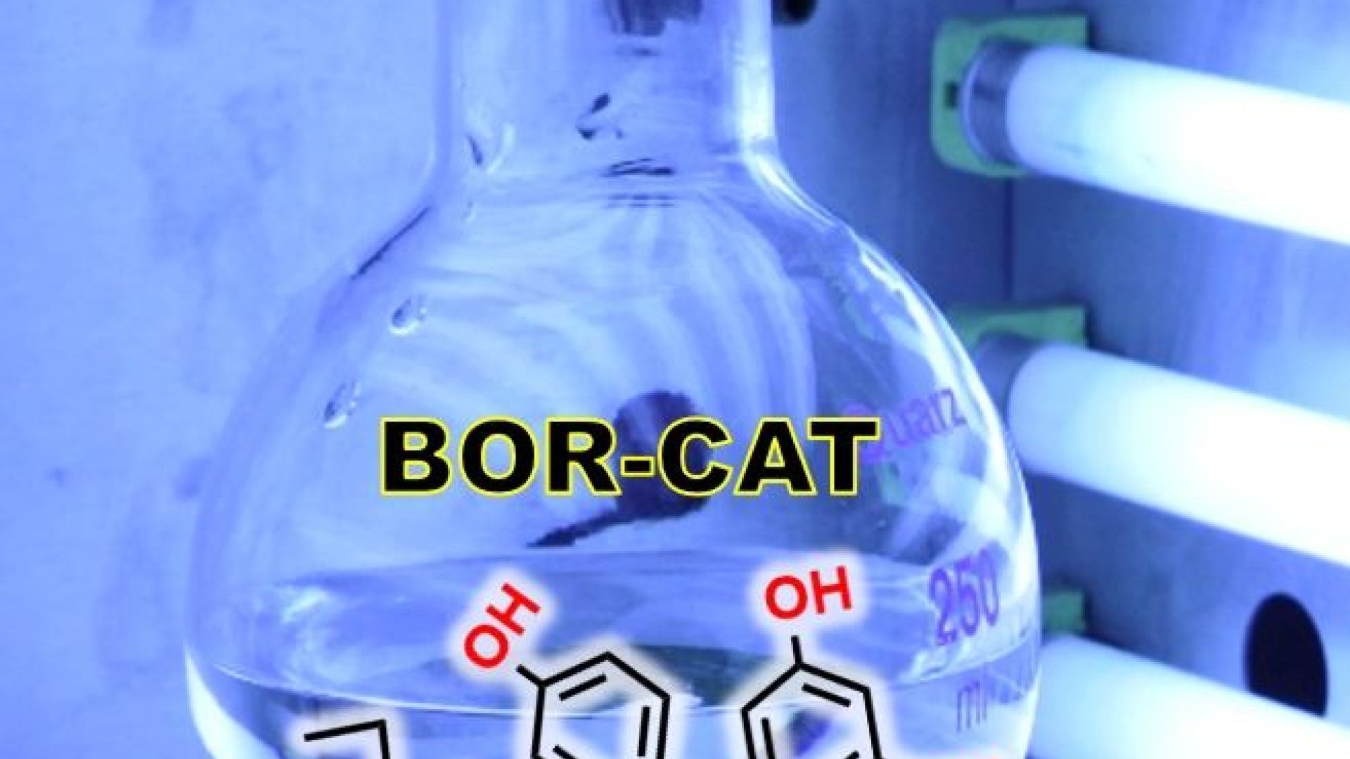 Photocatalytic oxidation of benzene to produce phenol