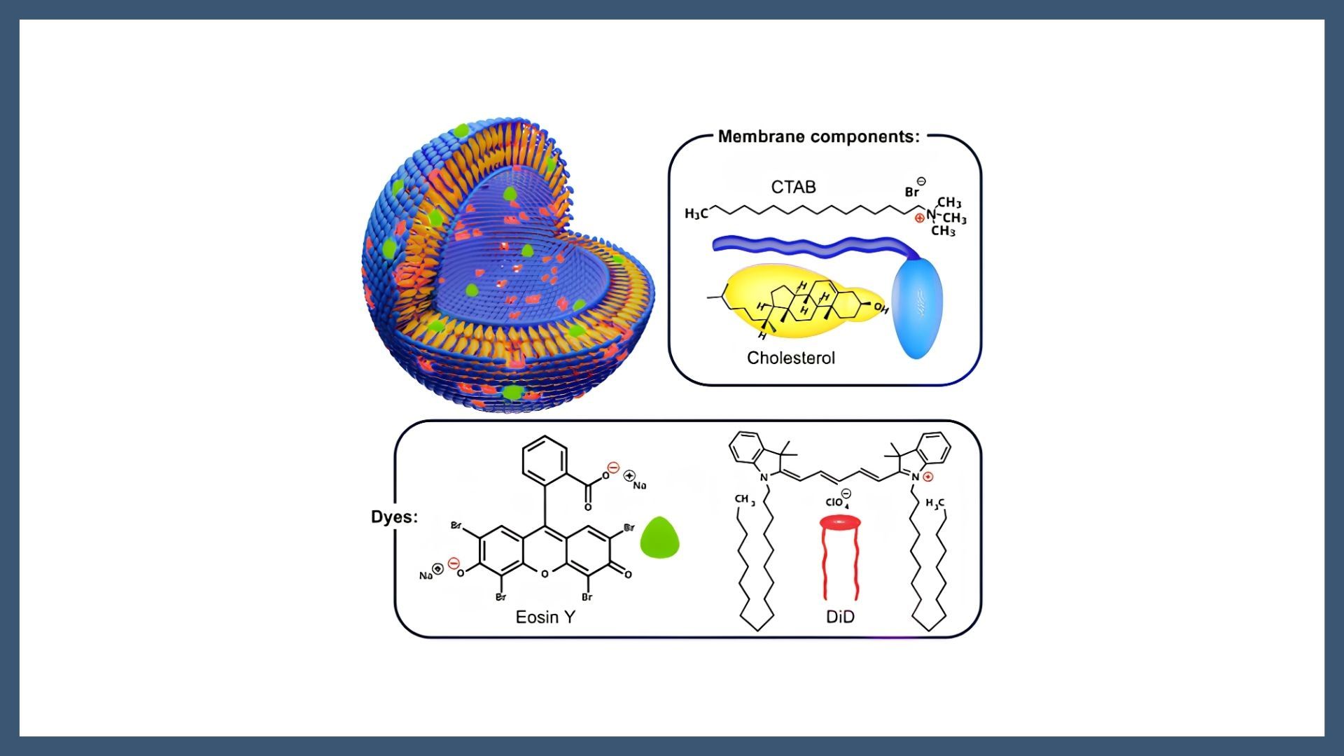 Quatsomes as versatile fluorescent nanocarriers: stable Eosin Y loading and FRET with a membrane dye