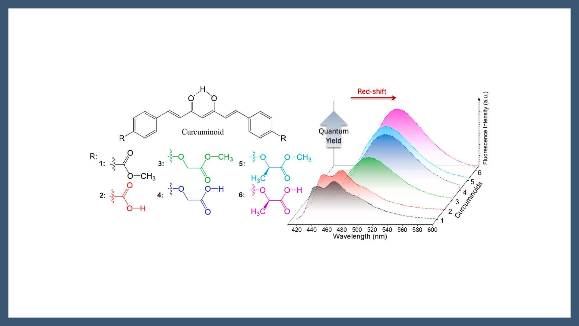 Structure–property correlations in ester- and carboxyl–functionalized curcuminoids: A combined experimental and theoretical study