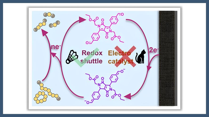 Diketopyrrolopyrroles Act as Redox Mediators in Lithium-Sulfur Batteries