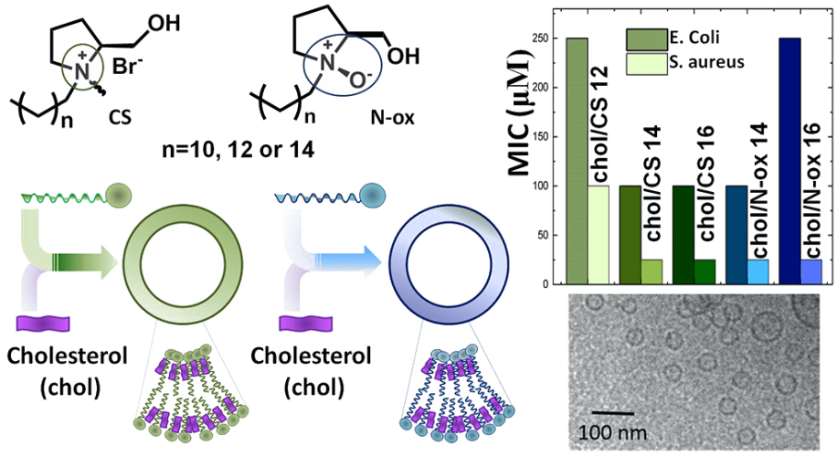 Quatsomes Formulated with l-Prolinol-Derived Surfactants as Antibacterial Nanocarriers of (+)-Usnic Acid with Antioxidant Activity
