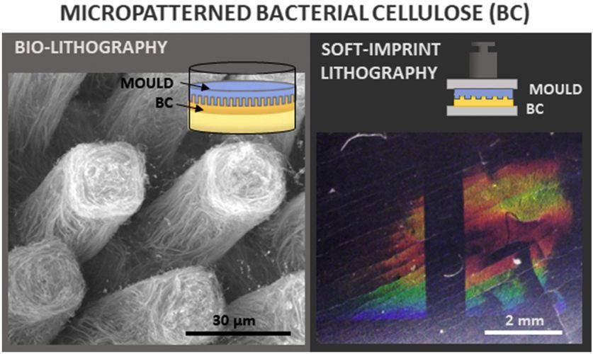 Bio and soft-imprinting lithography on bacterial cellulose films