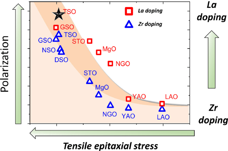 Synergetic contributions of chemical doping and epitaxial stress to polarization in ferroelectric HfO2 films