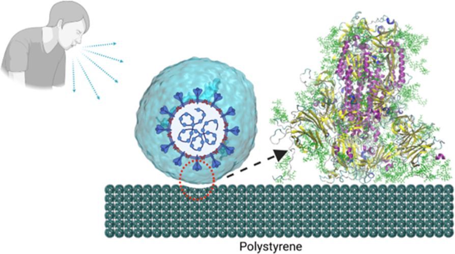 Molecular Dynamics Simulations of Adsorption of SARS-CoV-2 Spike Protein on Polystyrene Surface