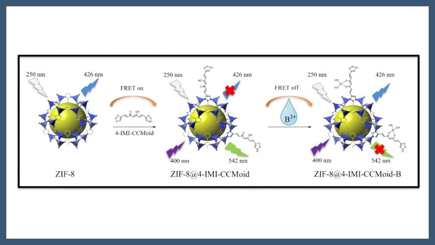 Post-synthetic modification of ZIF-8 with an imidazole-based curcuminoid for selective sensing of boric acid in water