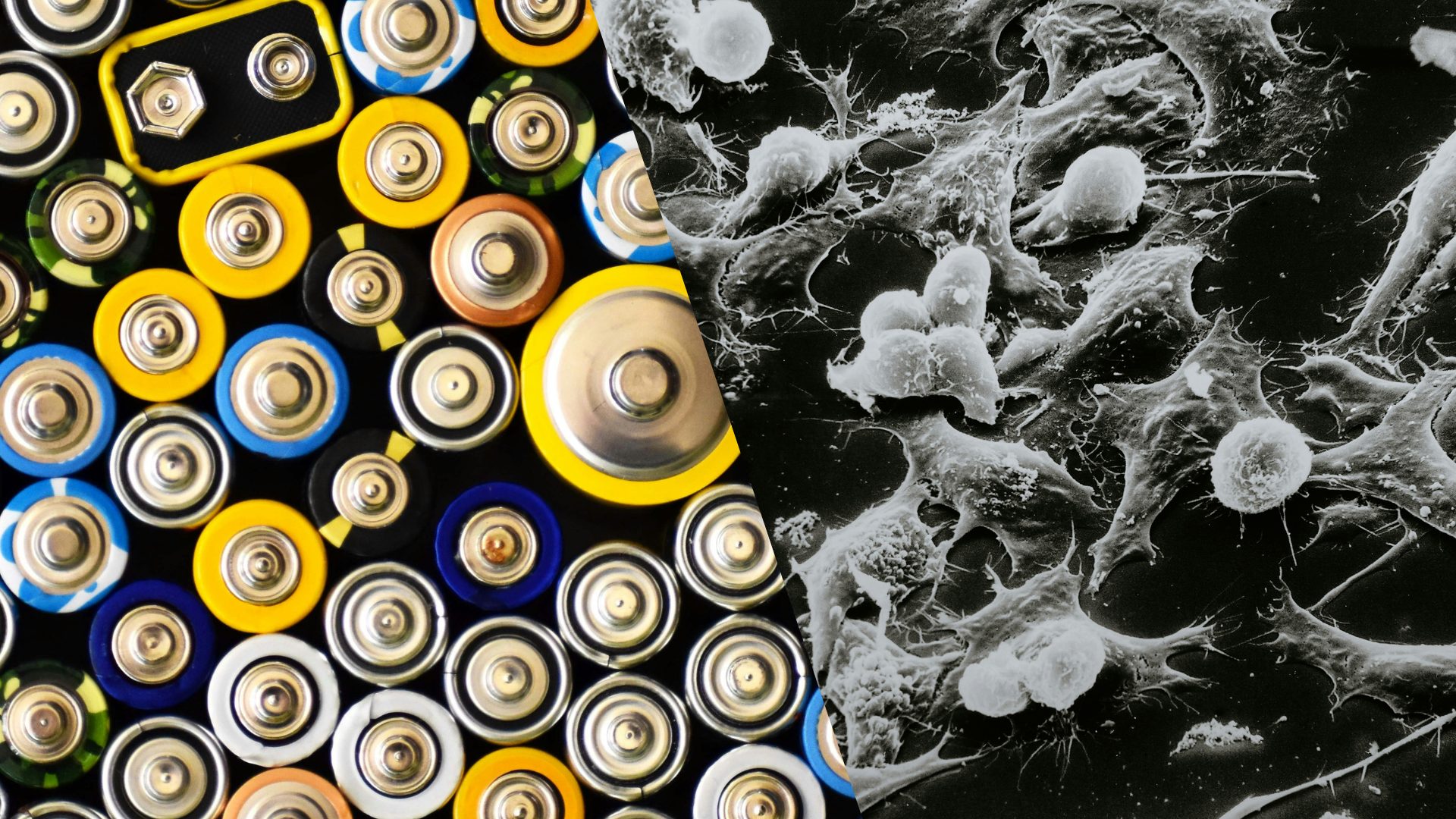 These two EIC Pathfinders will help explore both new battery designs and new a new strategy against cancer | Edit by ICMAB, original pictures by Vardan Papikyan and National Cancer Institute [via Unsplash]