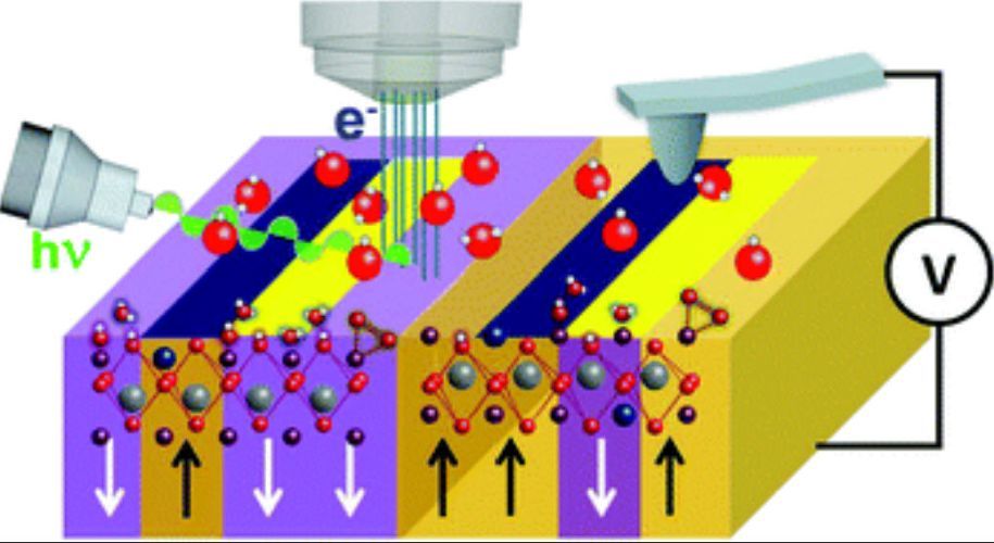 Surface charged species and electrochemistry of ferroelectric thin films
