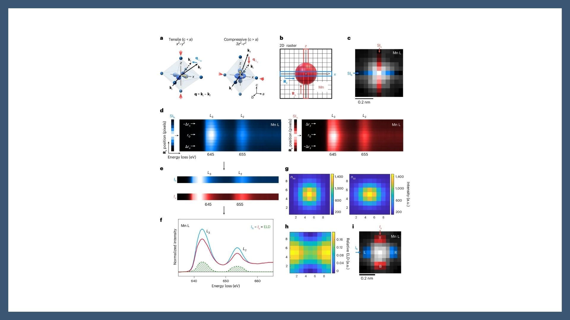 Detecting linear dichroism with atomic resolution