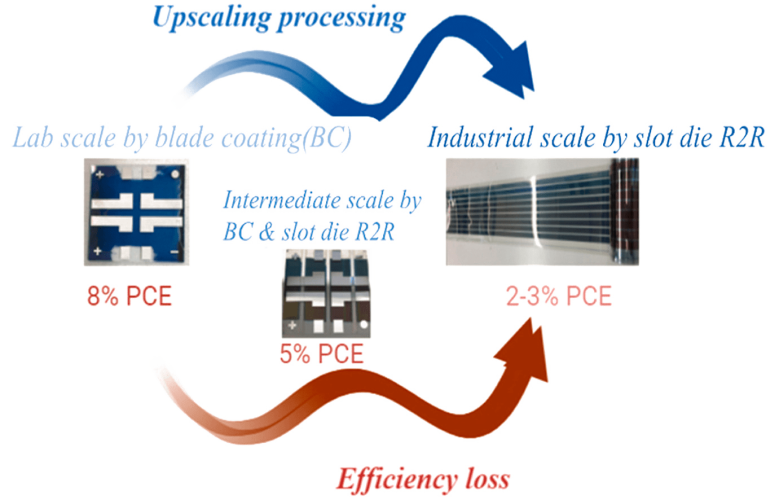 Understanding the blade coated to roll-to-roll coated performance gap in organic photovoltaics