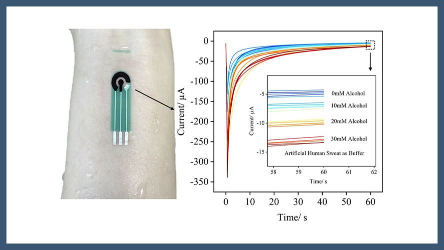 Eco-Friendly Conformal and Self-Adhesive Electrochemical Sensors for Sweat Monitoring