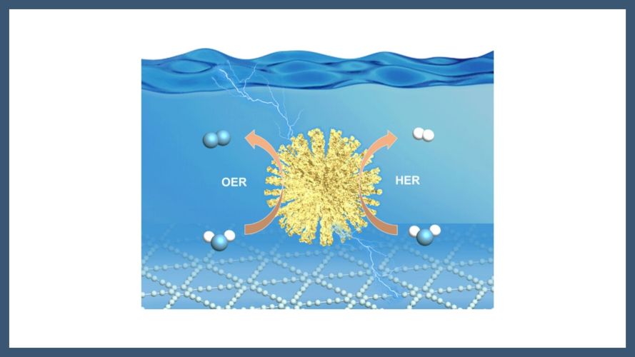 Dual-Function Electrocatalytic Activity Unleashed by FeMo-Graphdiyne@Ni3S2 with Engineered Heterointerfaces