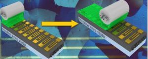 El proyecto GENESIS avanzará en el campo de la electrónica orgánica, que permite diseñar dispositivos flexibles, ligeros, biocompatibles, económicos y à la carte, usados en sensores altamente sensibles para diversas aplicaciones con alto impacto en nuestra sociedad, como el diagnóstico médico o la robótica.