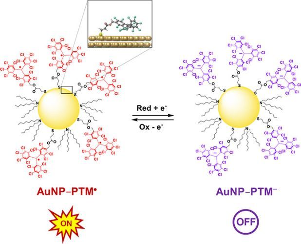Multifunctional Switch Based on Spin-Labeled Gold Nanoparticles