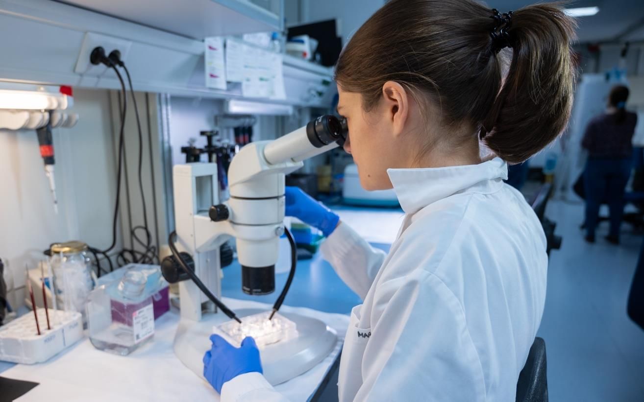 Laboratorio del Instituto Cajal del CSIC. / César Hernández. 