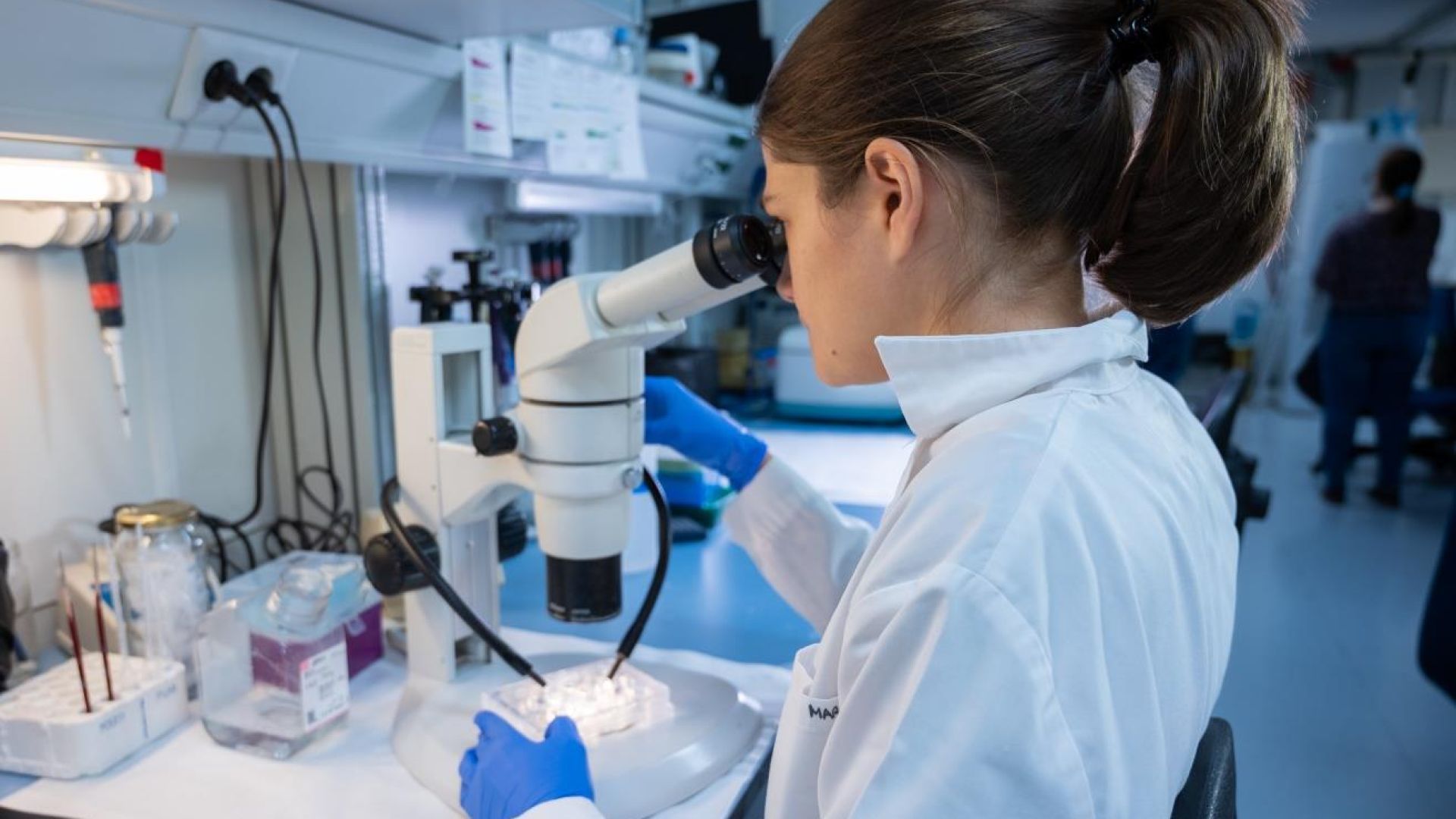 Laboratorio del Instituto Cajal del CSIC. / César Hernández.