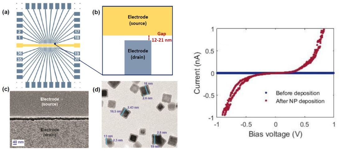 Trapping and electrical characterization of single core/shell iron-based nanoparticles in self-aligned nanogaps