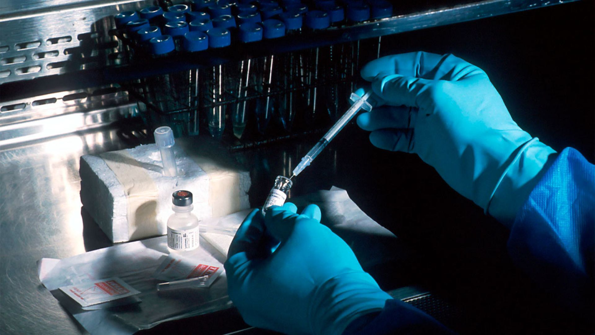 Hands of a scientist, under a sterile hood, preparing a vaccine  / National Cancer Institute