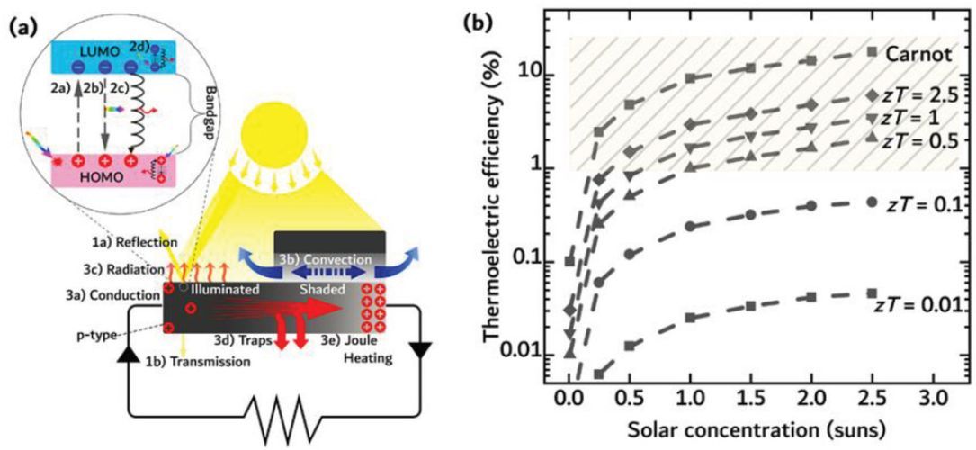 Solar Harvesting: a Unique Opportunity for Organic Thermoelectrics?