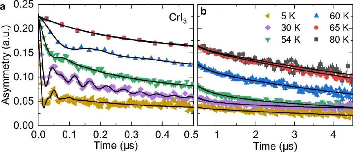 Coexistence of structural and magnetic phases in van der Waals magnet CrI3